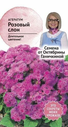 Агератум Розовый слон 0,05гр /Семена от Ганичкиной/ Однолетник