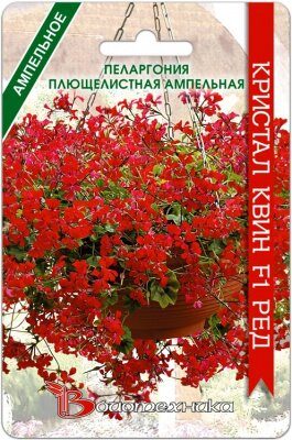 Пеларгония Кристал Квин F1 Ред ампел. (5шт) /Биотехника/
